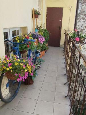 Miodowa Apartment كراكوفيا المظهر الخارجي الصورة